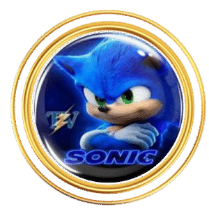 sonic plus sans Diwan sports