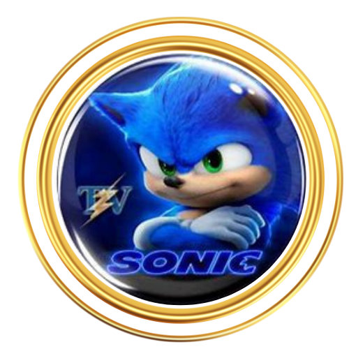 sonic plus sans Diwan sports
